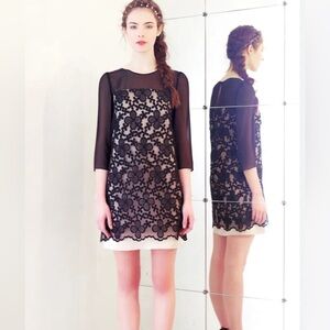 Erin Fetherston Sheer Overlay 3/4 Sleeve Shift Cocktail Dress Size 2